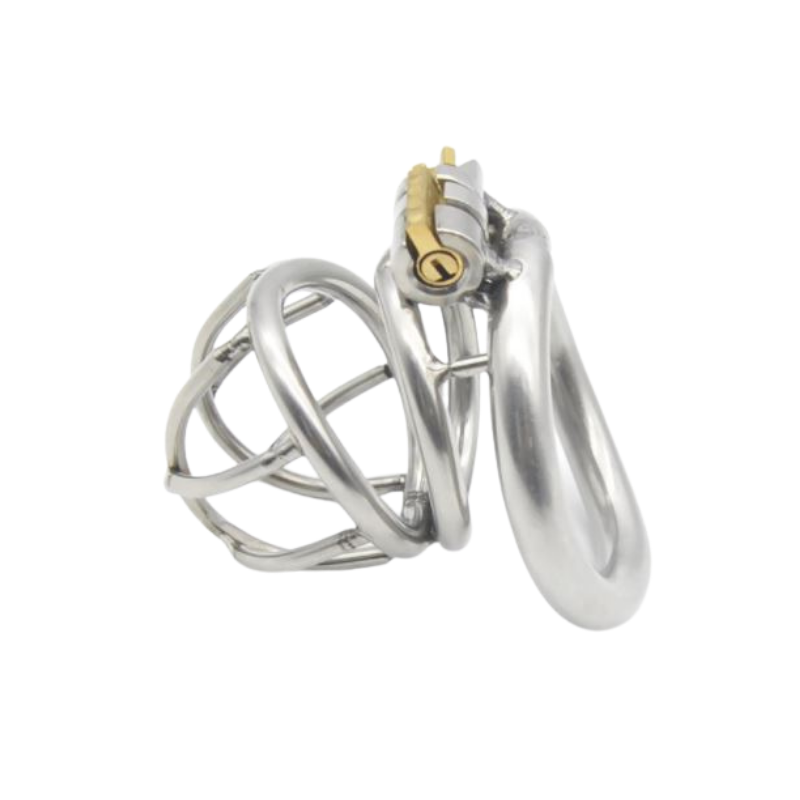 TheCuckDetainer-MaleChastityDevice_3.png