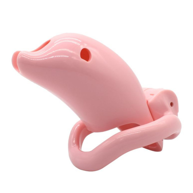TheSissyDungeon-PinkResinCockCage_1.png