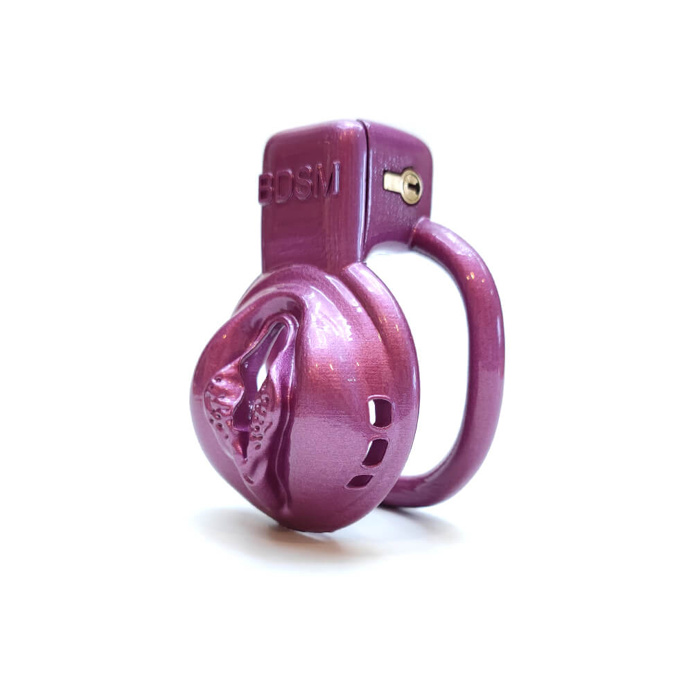 bdsm-vaginal-chastity-devices-cage6.jpg