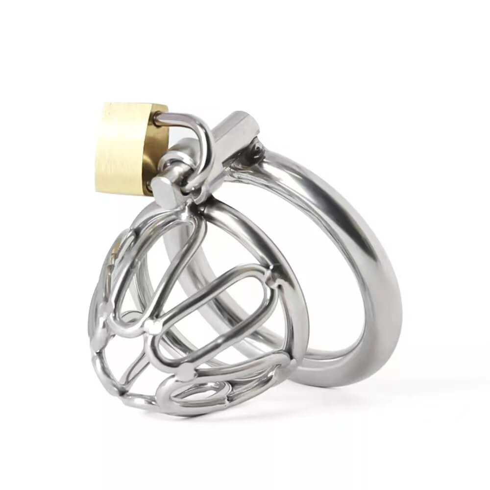mini-penis-chastity-cage5.jpg